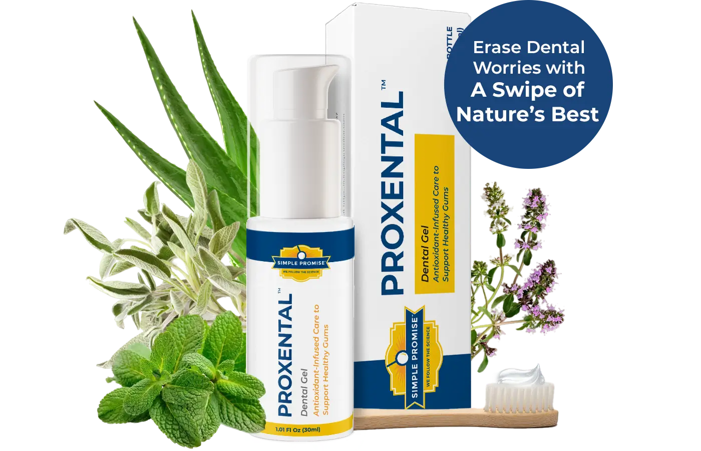ProXental Dental Gel Supplement